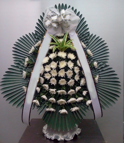��õ������ʽ��念���ɹٱ���ȭȯ��޲������ (2)